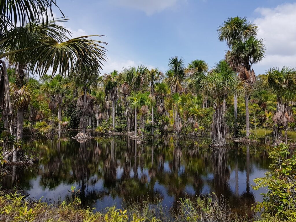 Central Florida mental health