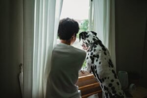 what is dialectical behavior therapy dbt