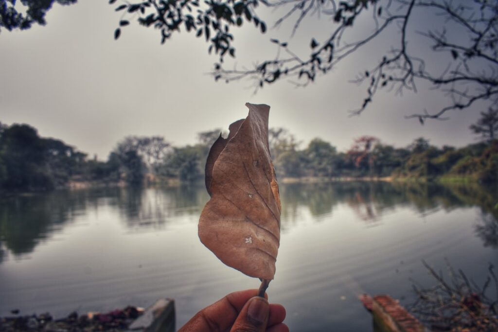 How Do You Stop Thinking About the Past?