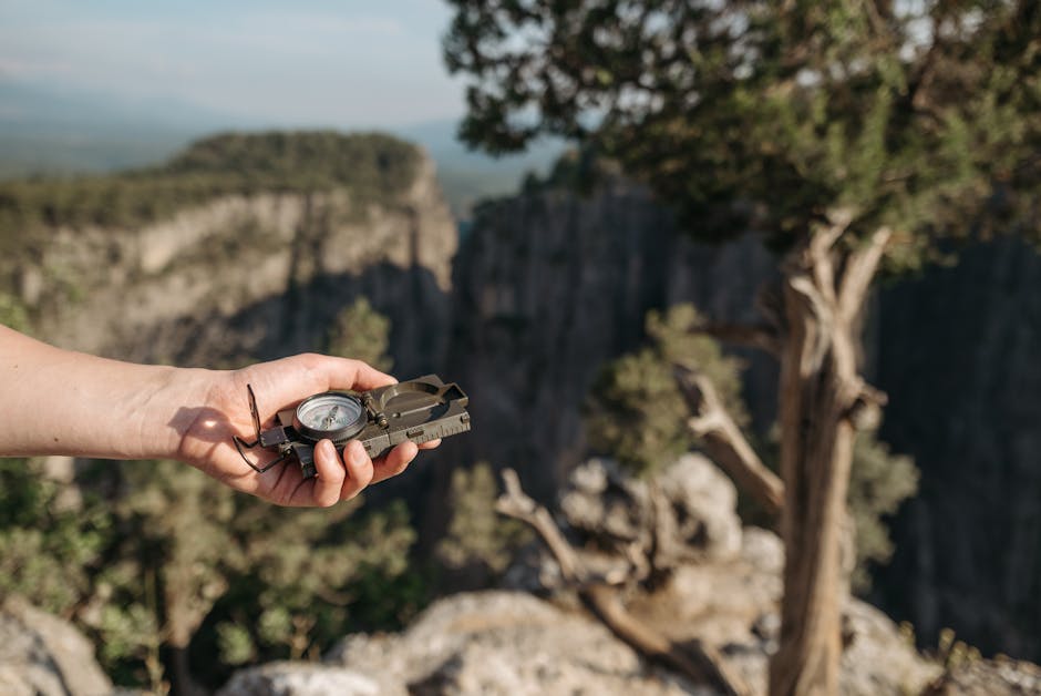 find a therapist who understands active vs passive suicidality