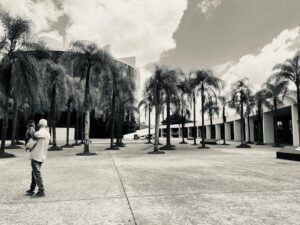 intensive outpatient mental health programs in florida that accept bcbs of fl