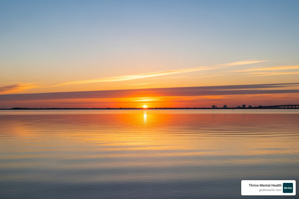 Mental health treatment centers in Tampa Bay, Florida.