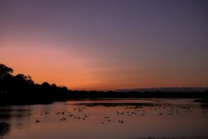 Hope Is Real: Your Guide to Suicide Prevention 5 suicide prevention