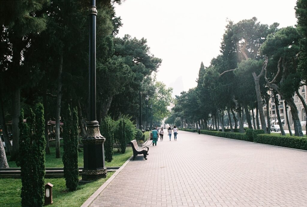 People enjoy a calm walk on a very green section of the Baku Boulevard.