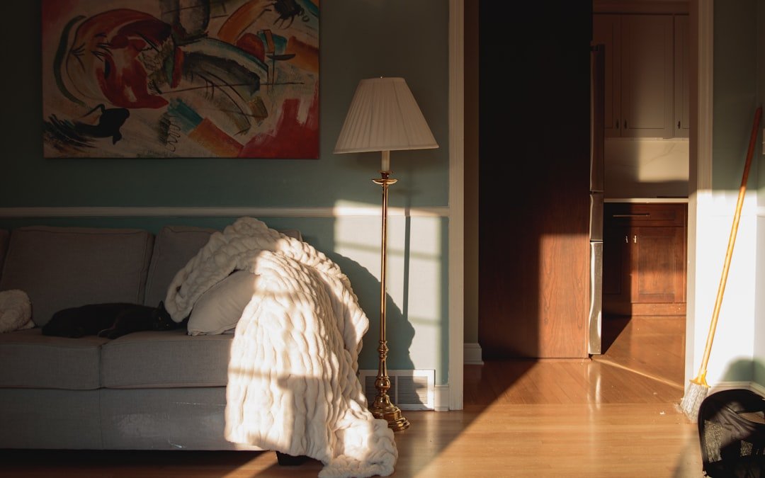 How to Choose a Virtual IOP in California: A Decision Guide 7 A cat taking an evening nap, illuminated by the setting sun.
