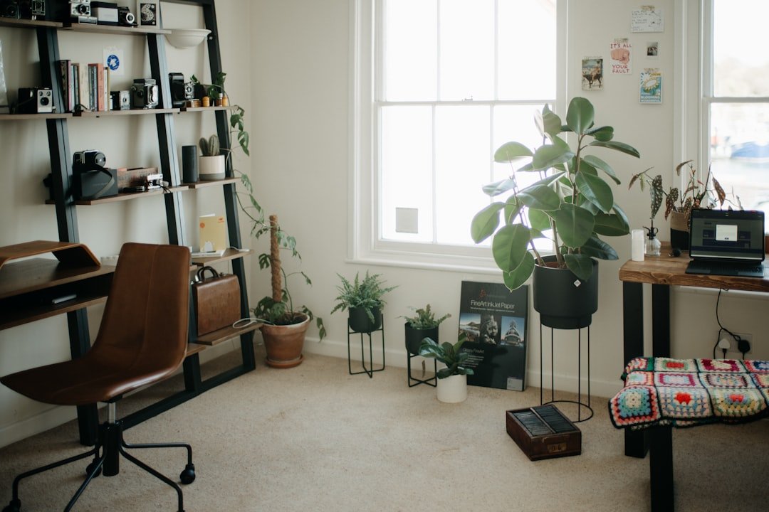a room with a desk, chair, bookshelf and a potted plant.
