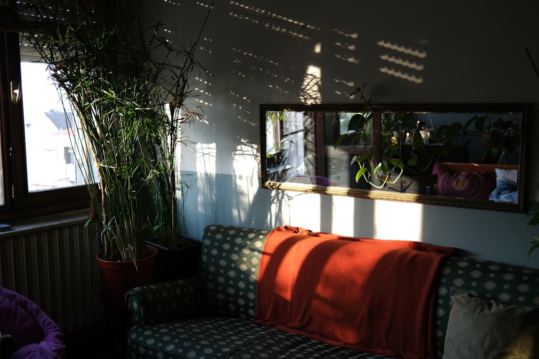 UnitedHealthcare (and Optum behavioral health): Mental Health and Virtual IOP Coverage 7 Sunlight streams through blinds onto a couch.