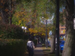 What to Expect at a Virtual IOP in California 2 Person walks down a tree-lined sidewalk in autumn.