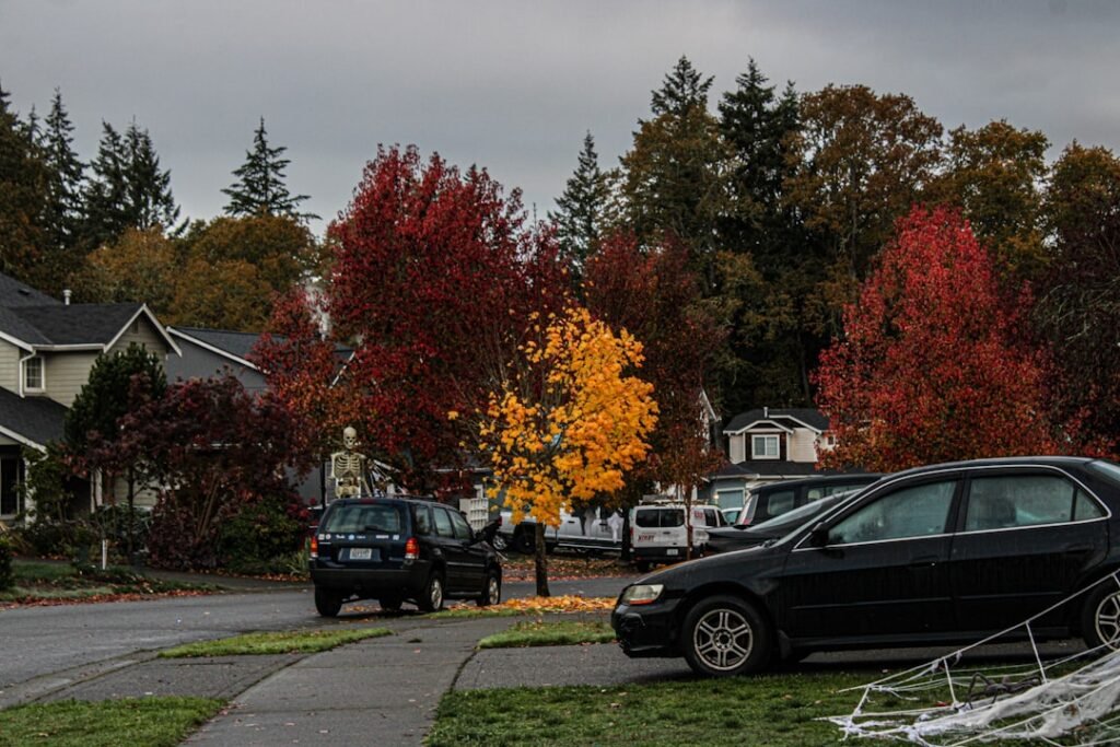 A black car parked on the side of a road.