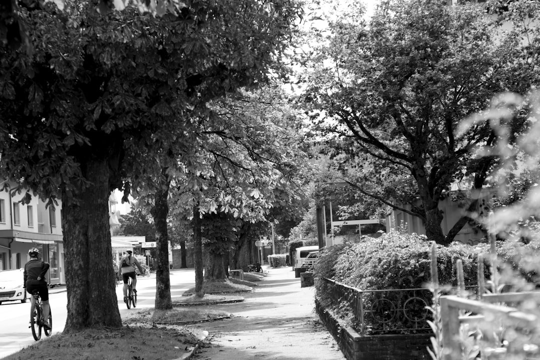 Tree-lined street in a small Austrian town. Cyclists riding along a quiet urban avenue captured in black and white.