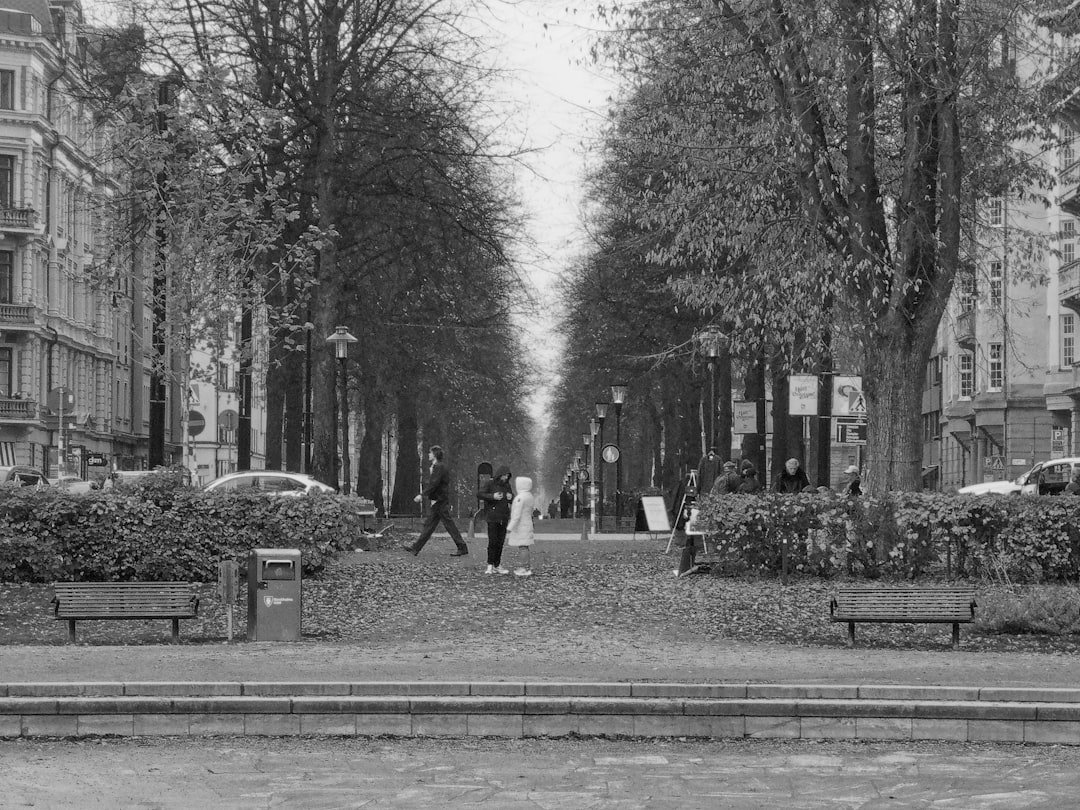 Tree-lined avenue with people walking and cars.