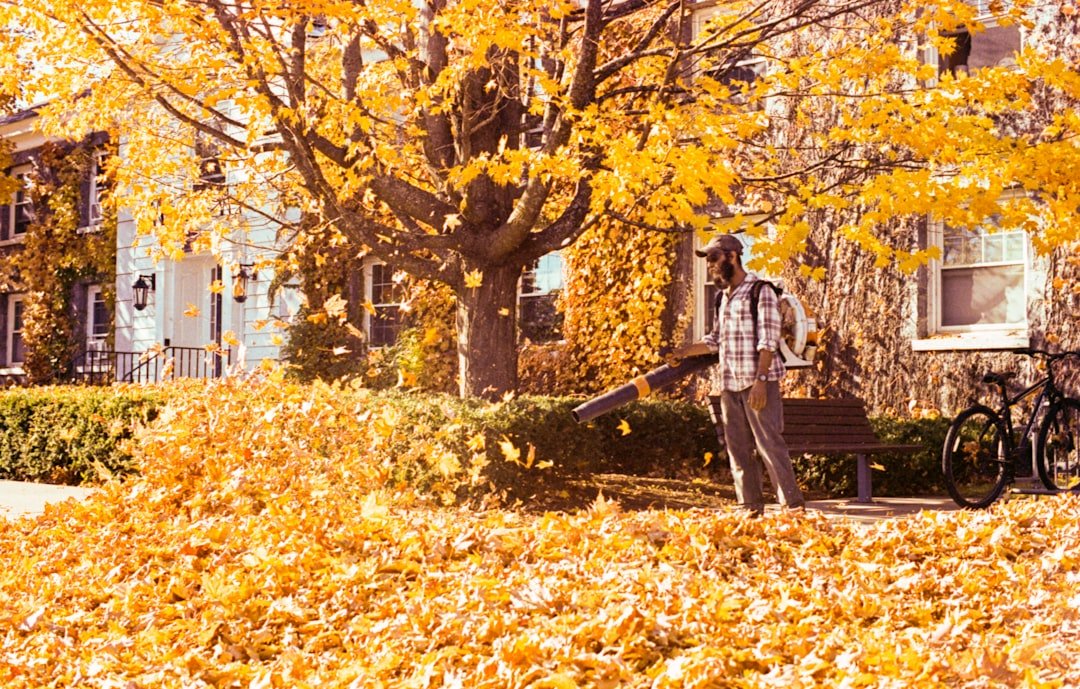 Man using leaf blower in autumn leaves.