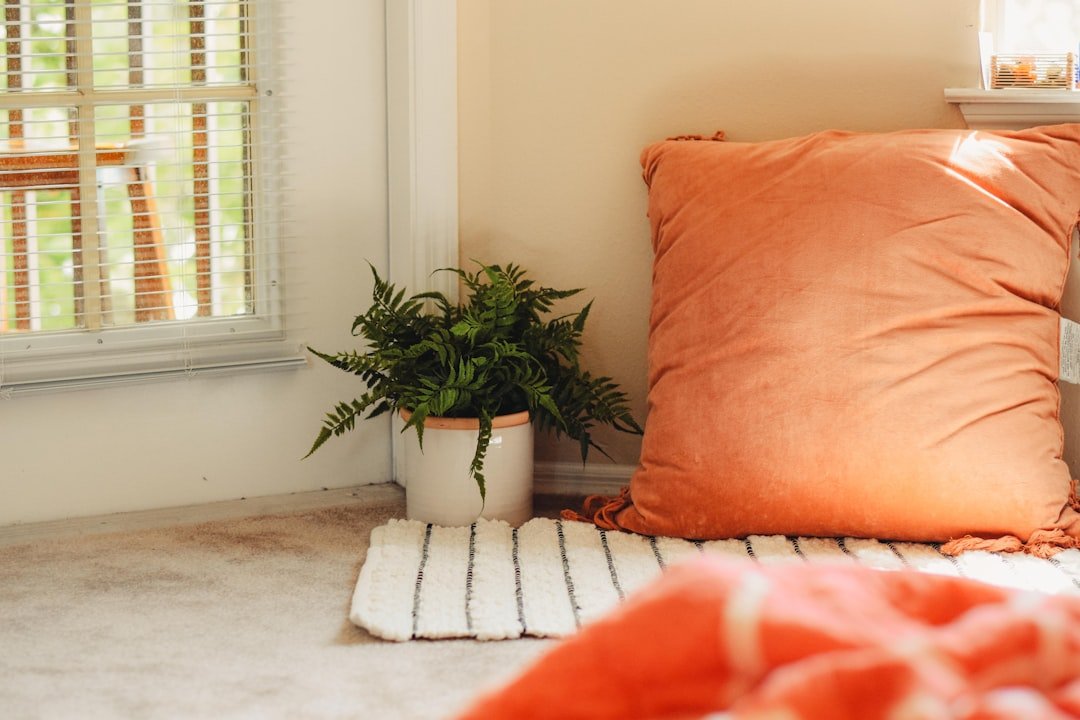 orange throw pillow.