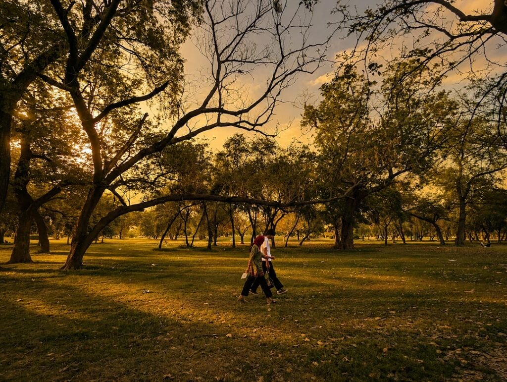 Peaceful Morning at Model Town Park Lahore | Natural Scenic Wallpaper Photography.