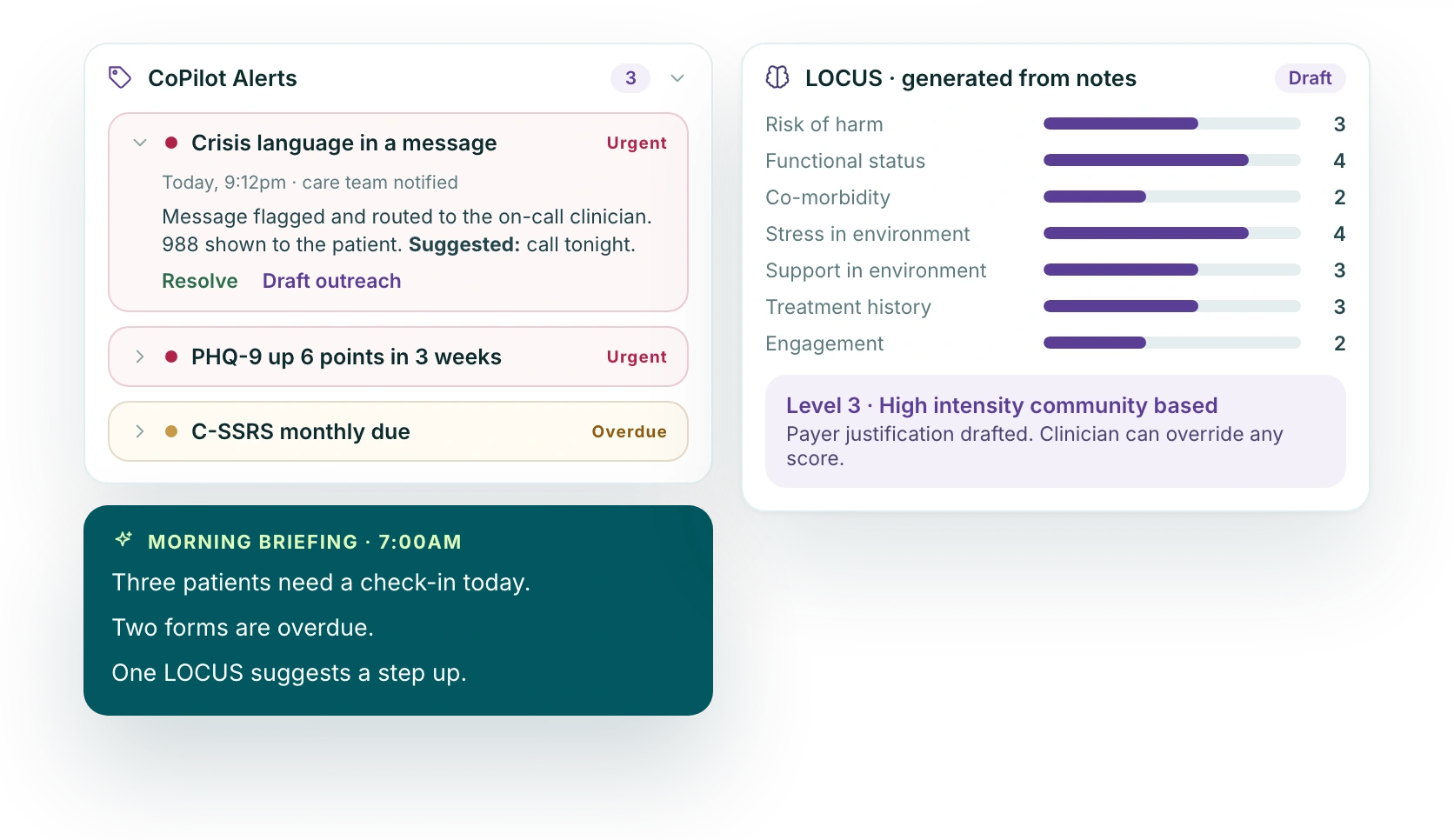 CoPilot alerts, a morning briefing and LOCUS scoring generated from notes, sample data