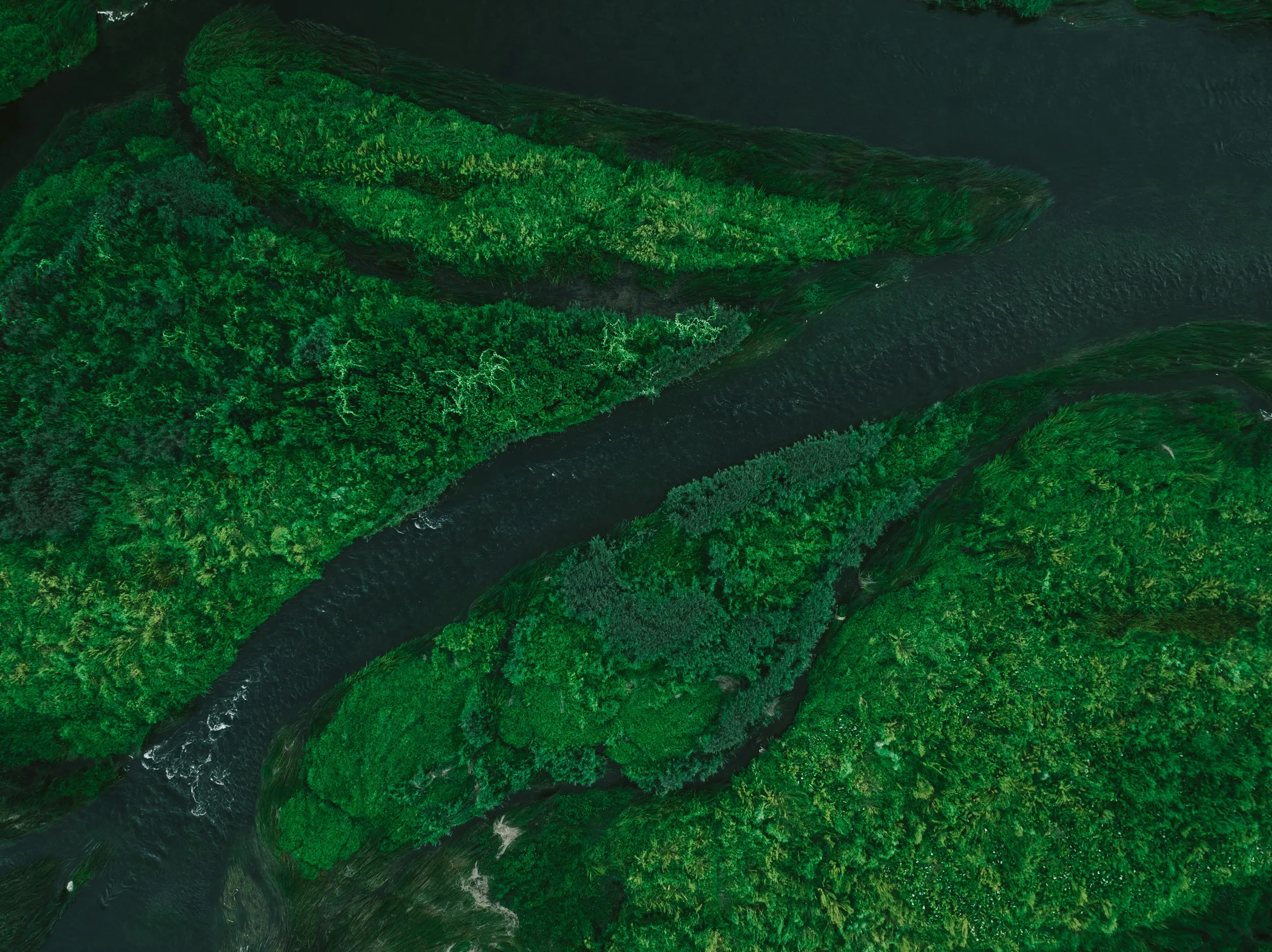 Aerial view of a river winding through green forest