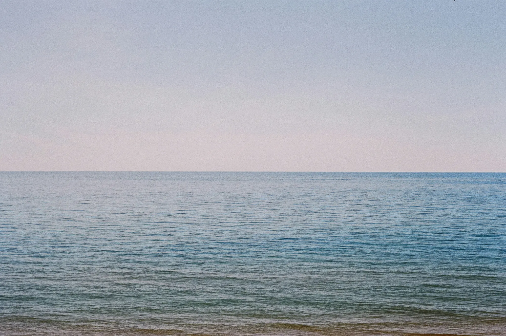 sea 1